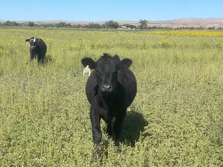More Photos Of 8 Chunky rd, Socorro Land For Sale