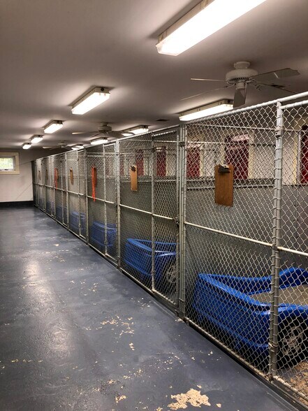 More Photos Of , Derby Unknown For Sale