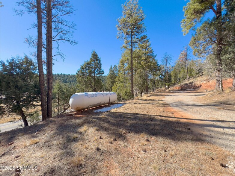 More Photos Of 2773 US Highway 82, Mayhill Hospitality For Sale