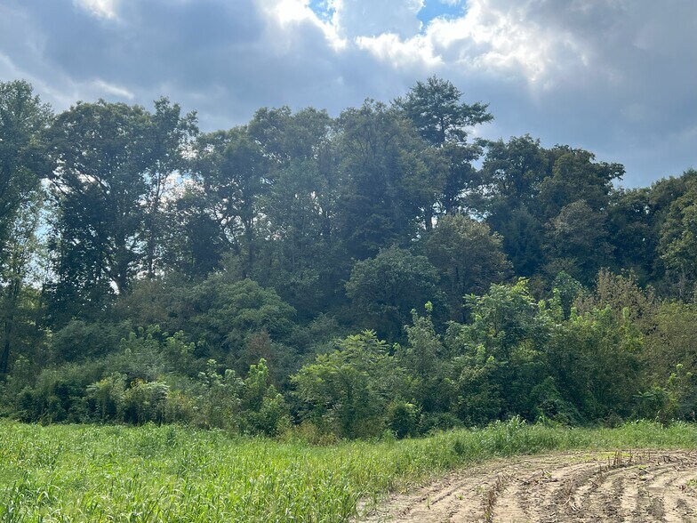 More Photos Of 3480 Airport Rd, Marble Land For Sale