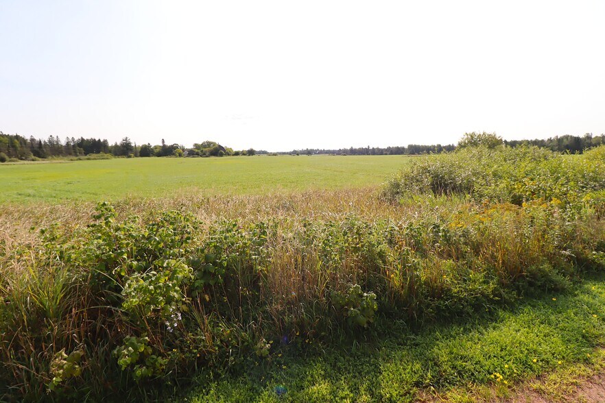 More Photos Of 29235 Hagstrom Rd, Ashland Auto Salvage Facility For Sale