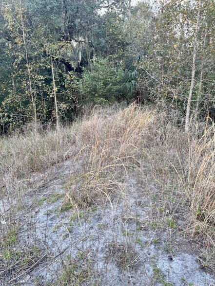 More Photos Of 2501 Oveido Marketplace Blvd, Oviedo Land For Sale