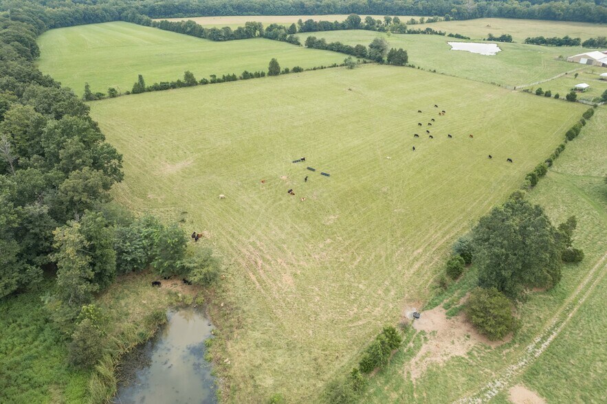 More Photos Of 10646 Mounts Rd, Irondale Land For Sale