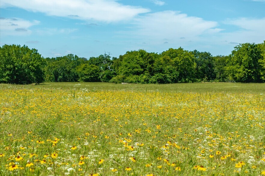 More Photos Of Lot 2 State Hwy 19,, Emory Land For Sale