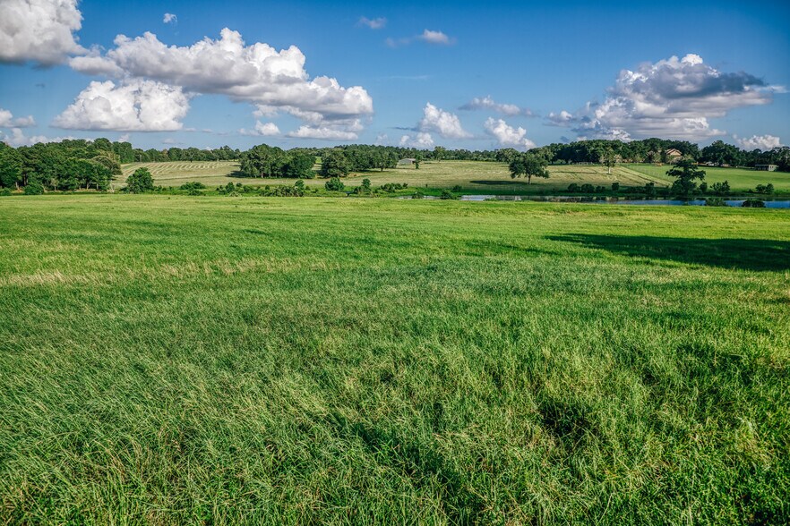 More Photos Of 1034 Hilbun Rd, New Ulm Land For Sale