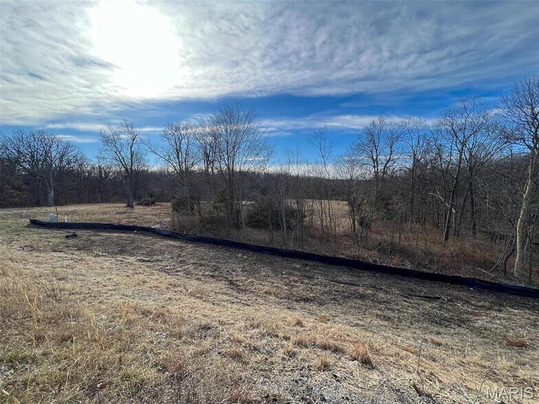 More Photos Of 31 S Highway 19, New Florence Land For Sale