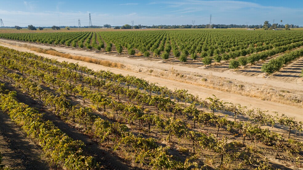 More Photos Of TFC Ranch, Lodi Land For Sale