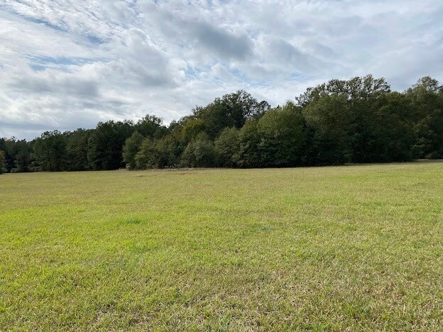 More Photos Of 0 Hwy 41S, Foreman Land For Sale