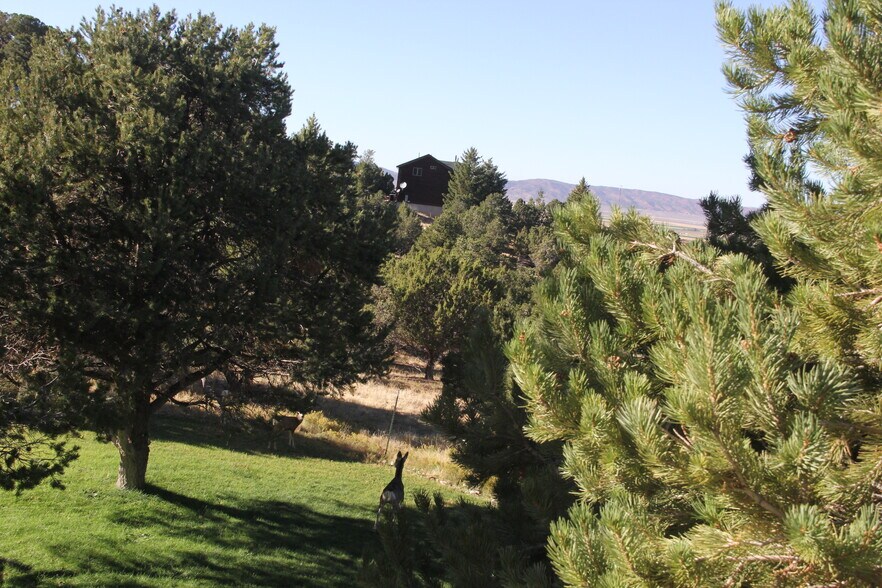 More Photos Of 1627 950 South, Parowan Land For Sale
