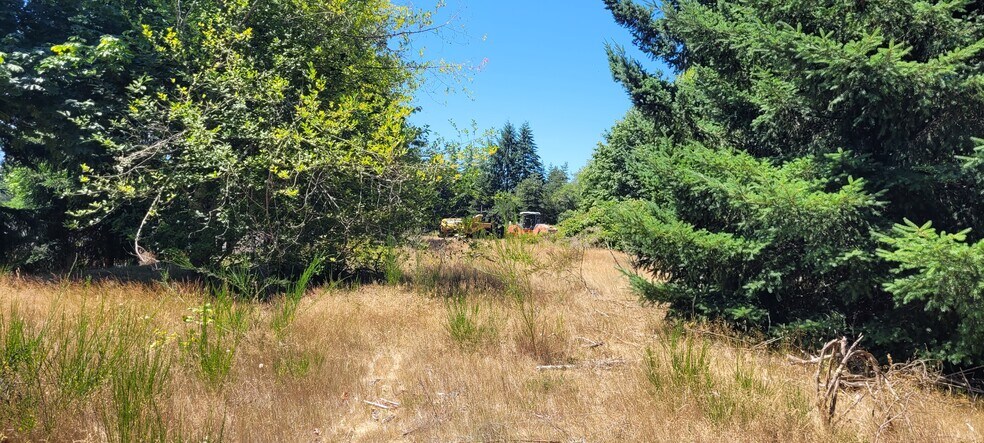 More Photos Of 6415-6433 Carpenter Rd SE, Lacey Land For Sale