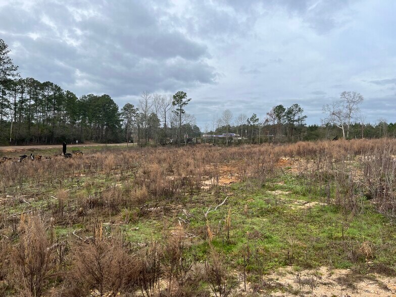 More Photos Of 4149 Highway 24 W, Mccomb Land For Sale
