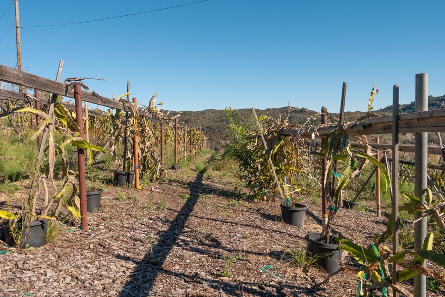 More Photos Of 40390 Ross Rd, Fallbrook Land For Sale
