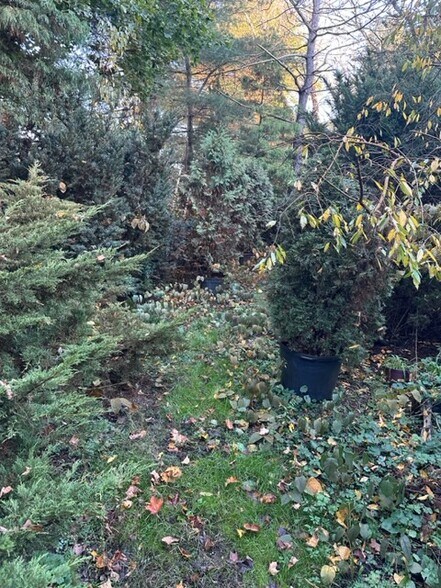 More Photos Of , Sharon Land For Sale