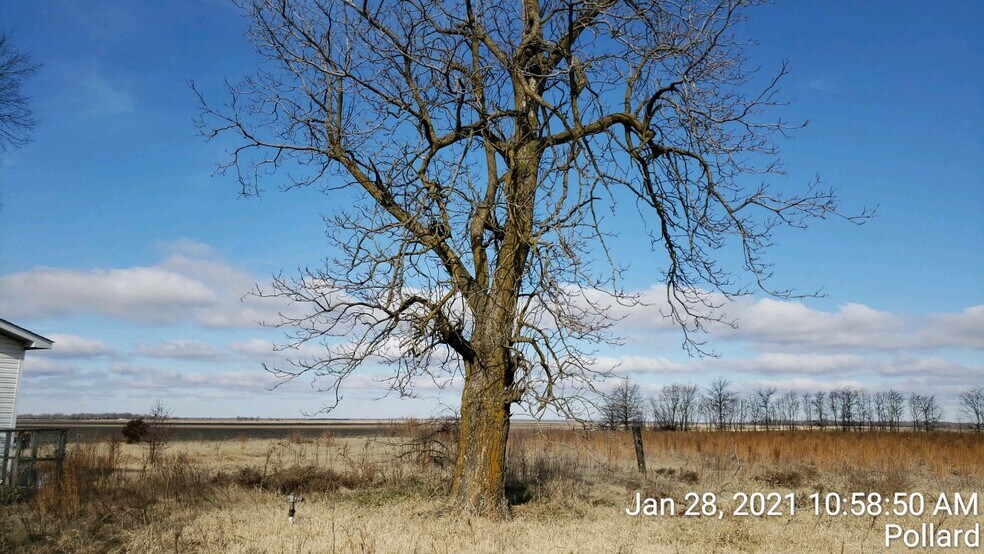 More Photos Of 74 County Road 325, Pollard Land For Sale