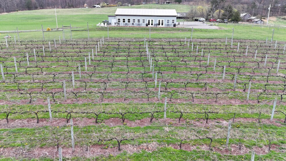 More Photos Of 596 Harman Rd, Halifax Winery Vineyard For Sale