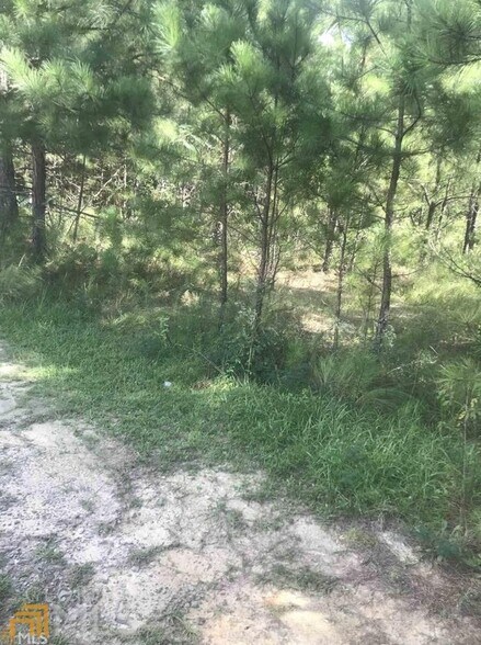 More Photos Of 00 Shannon Pky, Union City Land For Sale