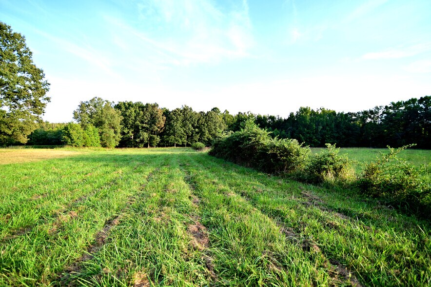 More Photos Of Cues Favorite @ La Plata Rd Route 488, Waldorf Land For Sale