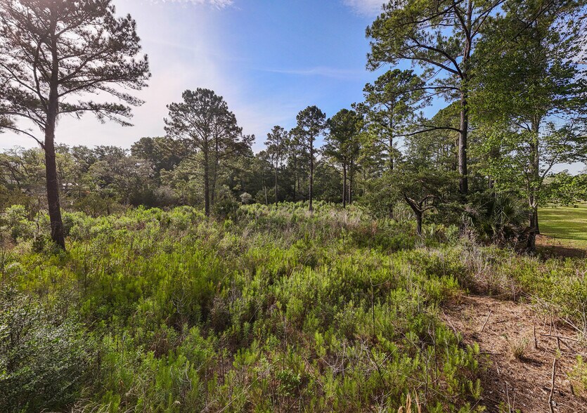 More Photos Of 0 King Rail Lane, Edisto Island Land For Sale