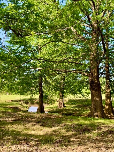 More Photos Of 646 Victor Eckhardt Rd, Fredericksburg Land For Sale