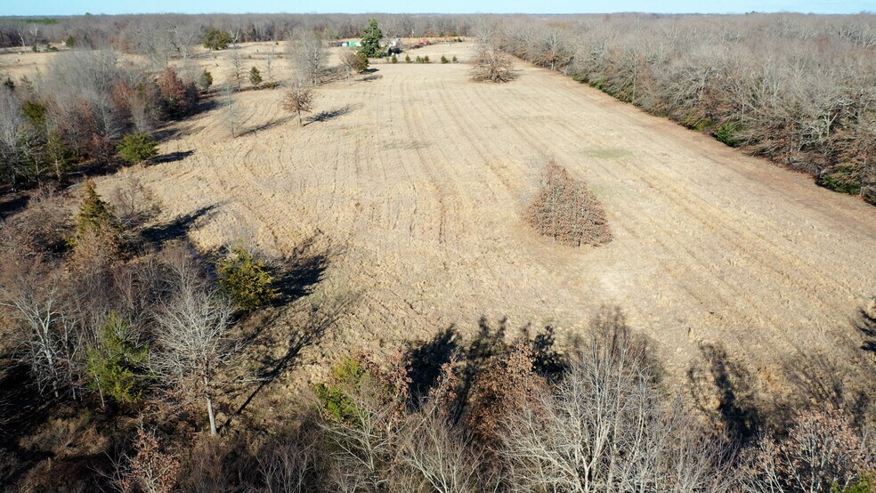 More Photos Of 1200 County 1255 rd, Detroit Land For Sale