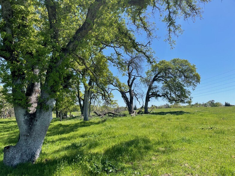 More Photos Of 1 Cardwell Ave, Orangevale Land For Sale