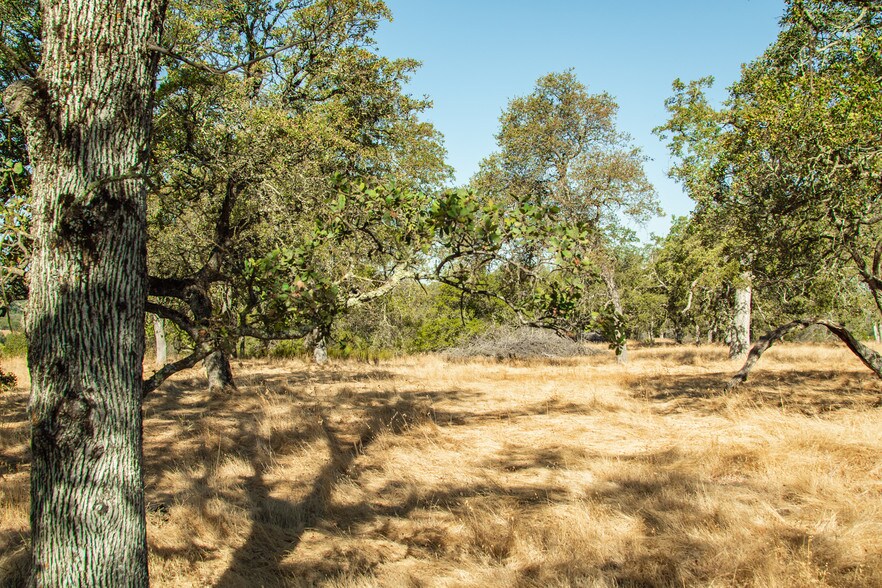 More Photos Of 4471 Buena Vista Rd, Ione Land For Sale