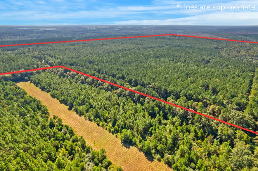 More Photos Of 0 Nokomis Road, Walnut Hill Land For Sale