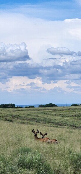More Photos Of Empire Reservoir, Wiggins Land For Sale