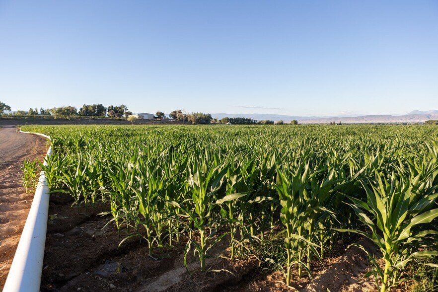 More Photos Of 53582 Falcon Rd, Olathe Winery Vineyard For Sale