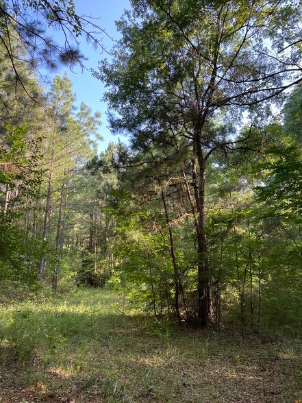 More Photos Of 0 Hwy 190 E, Huntsville Land For Sale