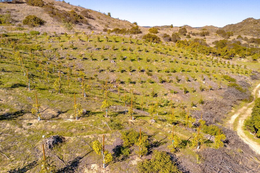 More Photos Of 40390 Ross Rd, Fallbrook Land For Sale