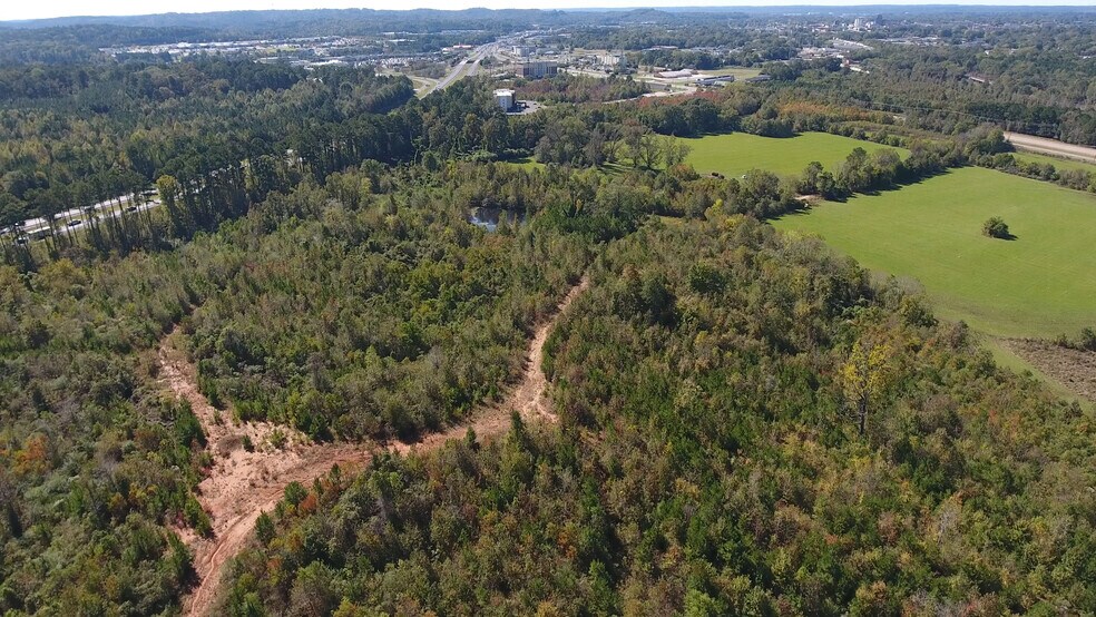 More Photos Of 000 Interstate 20 / 59, Meridian Land For Sale