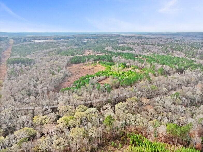 More Photos Of 16.31+/- AC Franklin Parkway Franklin GA 30217, Franklin Land For Sale