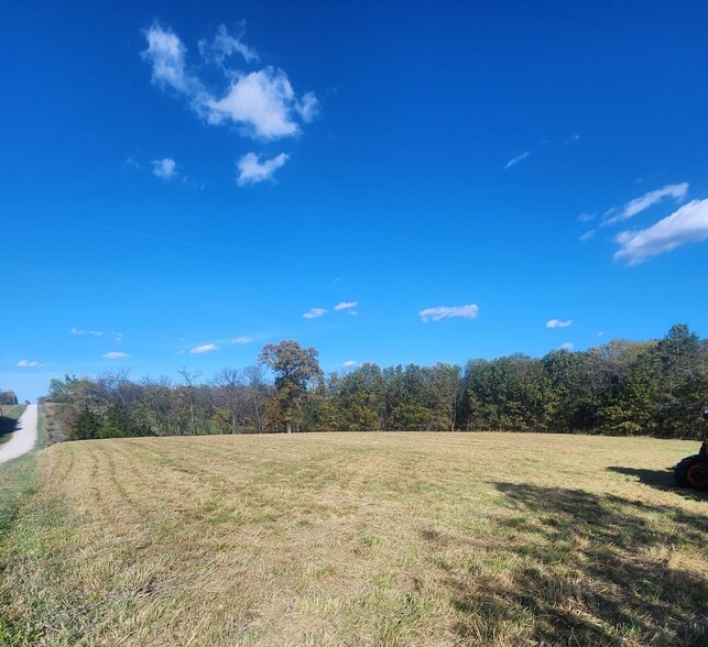 Primary Photo Of County Road 197 (5+/- Acres) Tract 3, Williamsburg Land For Sale