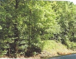 Primary Photo Of Roberts Drive & Rountree Rd, Riverdale Land For Sale