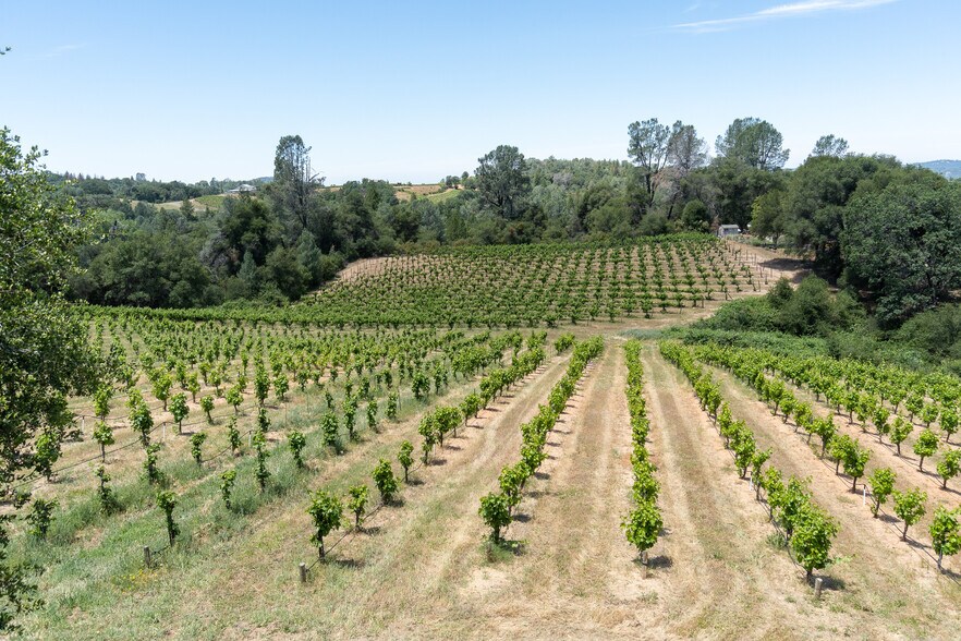More Photos Of 8221 Stoney Creek Rd, Fair Play Winery Vineyard For Sale