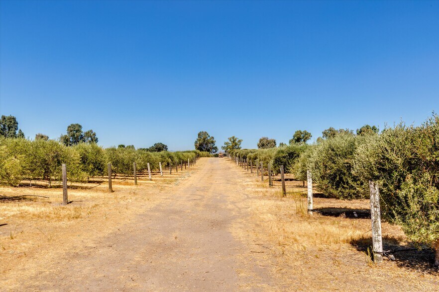 More Photos Of 5055 Rancho La Loma Linda Dr, Paso Robles Specialty For Sale