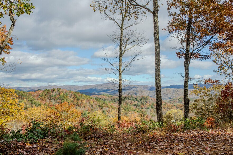 More Photos Of 195 Still Waters Ln, Brevard Land For Sale