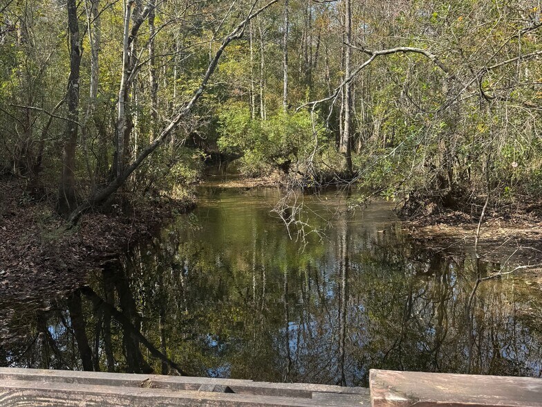 More Photos Of 2020 Becks Lake Rd, Cantonment Land For Sale