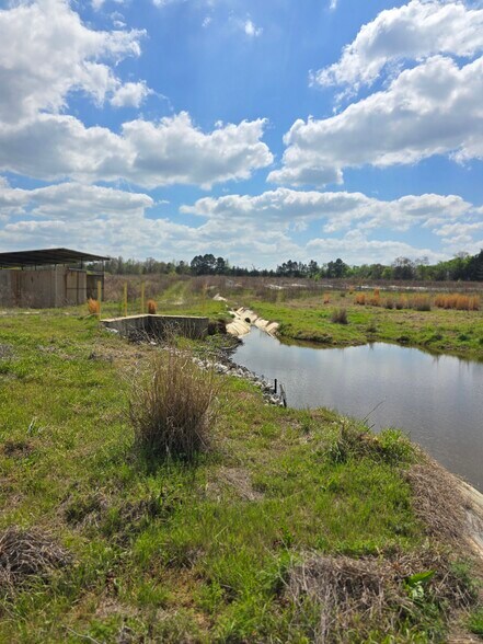 More Photos Of 11888 County Road 345, Winona Land For Sale