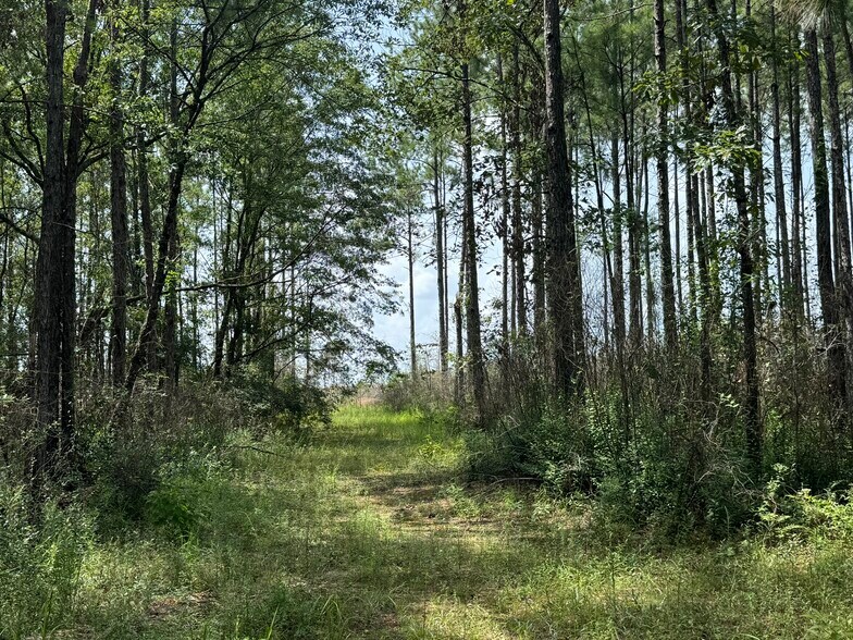 More Photos Of 0 Nokomis Road, Walnut Hill Land For Sale