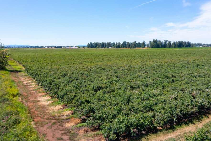 More Photos Of 9586 Bender Rd, Lynden Land For Sale