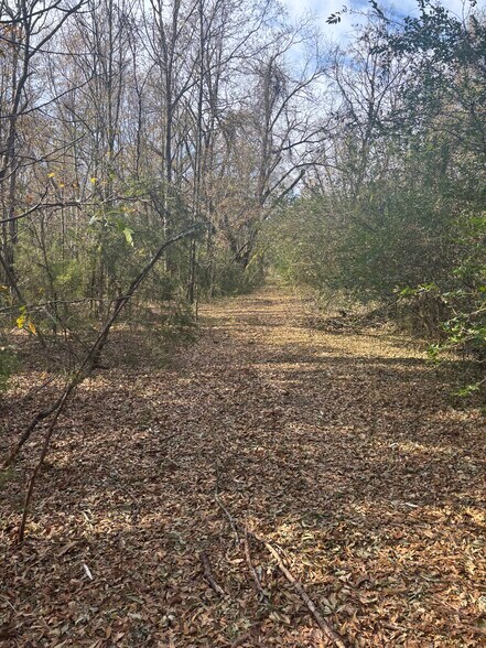 More Photos Of Oak Tree Dr, Honea Path Land For Sale