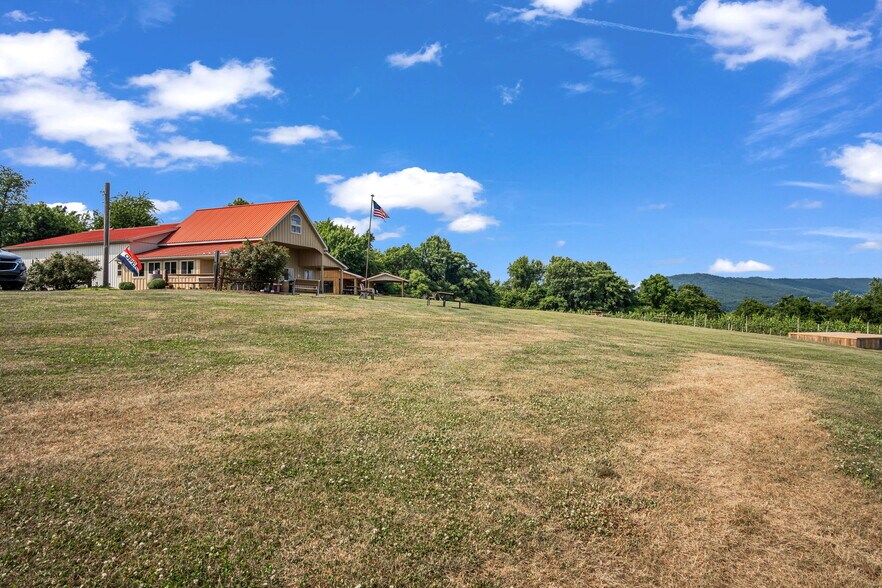 More Photos Of 3 Orchard Rd, Liverpool Winery Vineyard For Sale