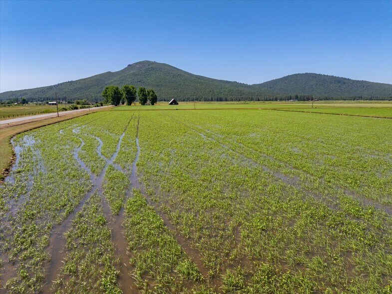 More Photos Of 41494 Gomez Rd, Fall River Mills Land For Sale