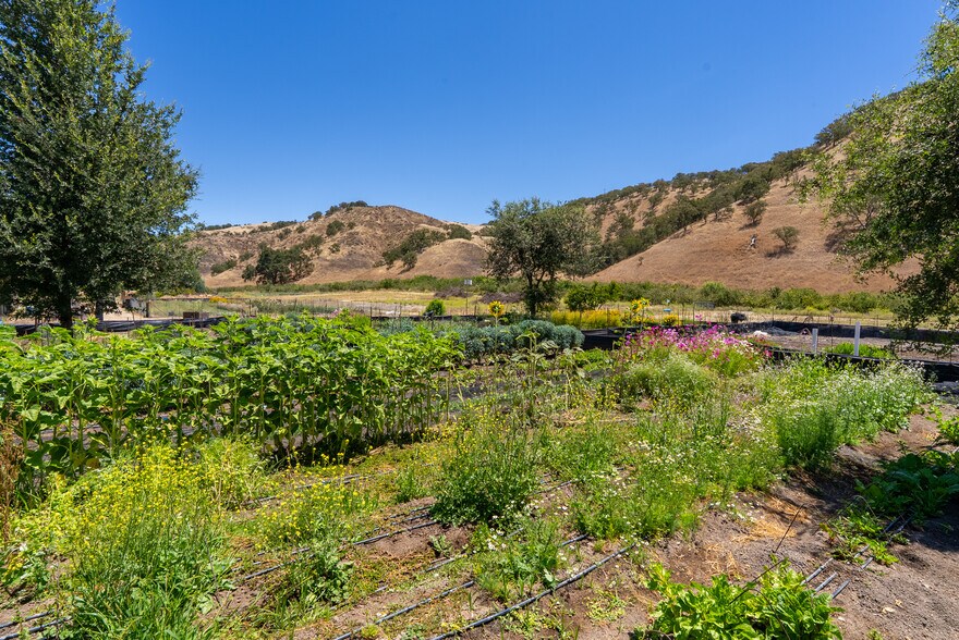 More Photos Of 5750 El Pharo Dr, Paso Robles Land For Sale