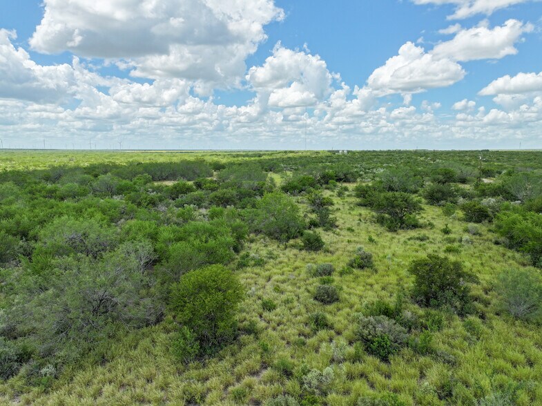 More Photos Of Las Brisas Road, Rio Grande City Land For Sale
