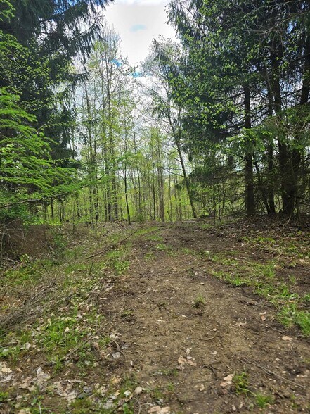 More Photos Of 0 Lower Mudlic rd, Mayport Land For Sale