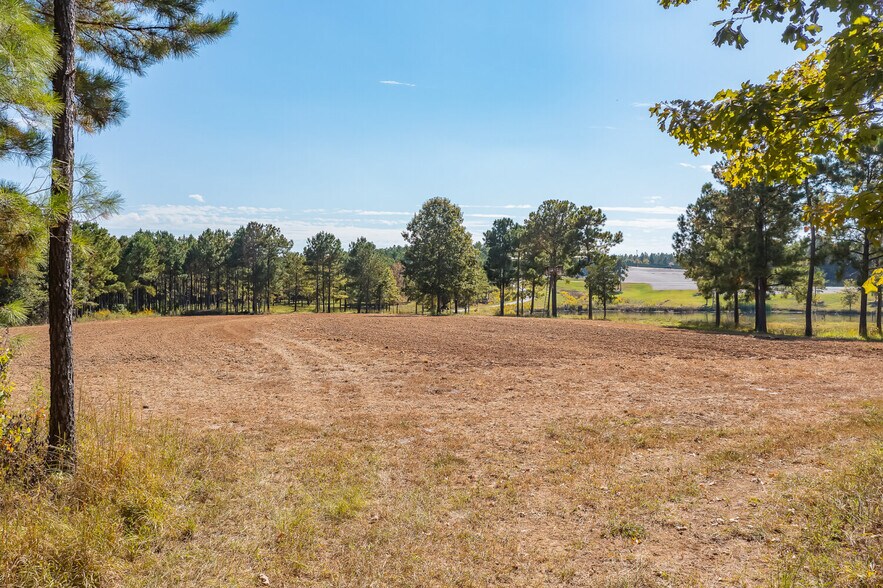 More Photos Of 18618 Hwy 43, Linden Land For Sale