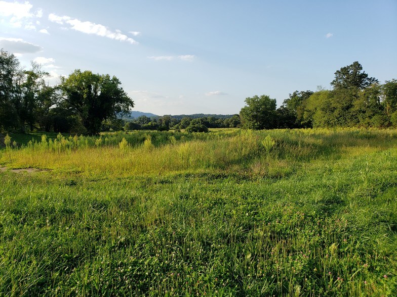 More Photos Of 4165 Haywood Rd, Mills River Land For Lease